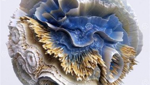 如何实施网络推广-网友赵德柱的博客