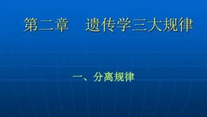 甘肃别做网络推广员-网友赵德柱的博客
