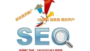 深圳seo网络推广公司电话-网友赵德柱的博客