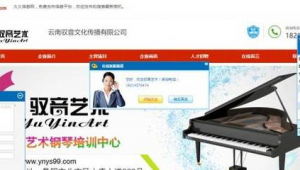 钢琴培训网络推广-网友赵德柱的博客